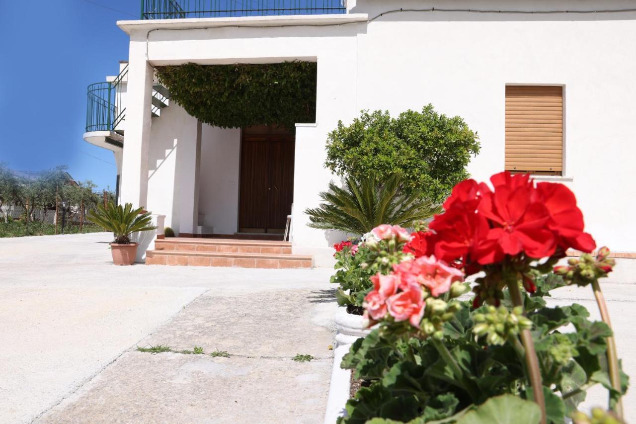 B&B Vannefora San Nicola Arcella Exterior photo