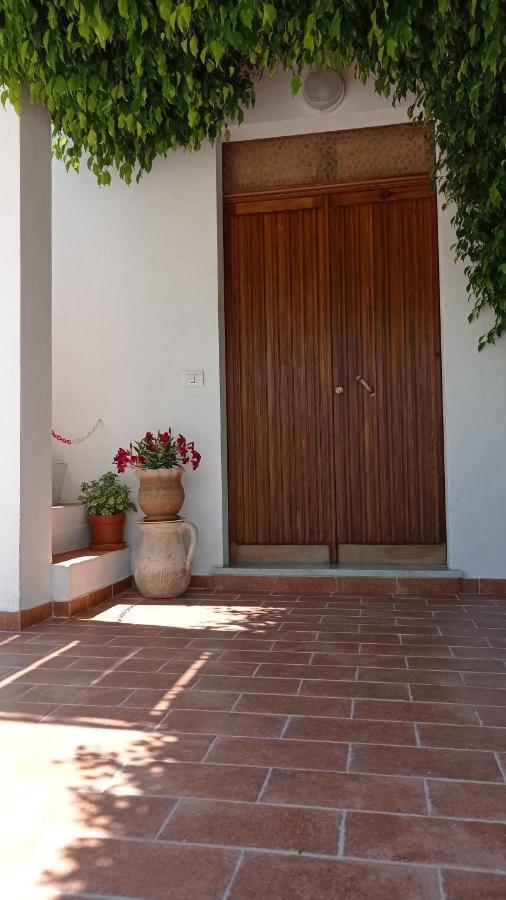 B&B Vannefora San Nicola Arcella Exterior photo